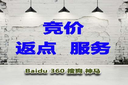 SEM代理案例：揭秘成功背后的秘密